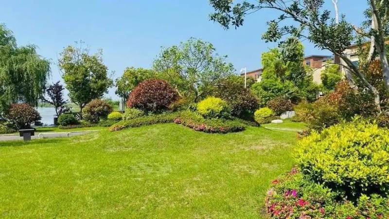 原神新版本活动怎么玩?版本活动内容与参与思路梳理